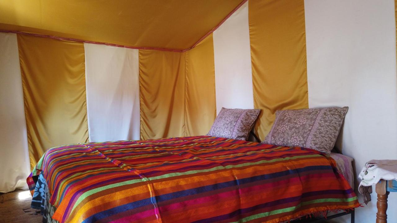 Camp Sahara Dunes Hotel M'Hamid Exterior foto